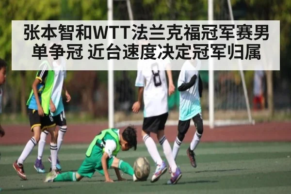 张本智和WTT法兰克福冠军赛男单争冠 近台速度决定冠军归属